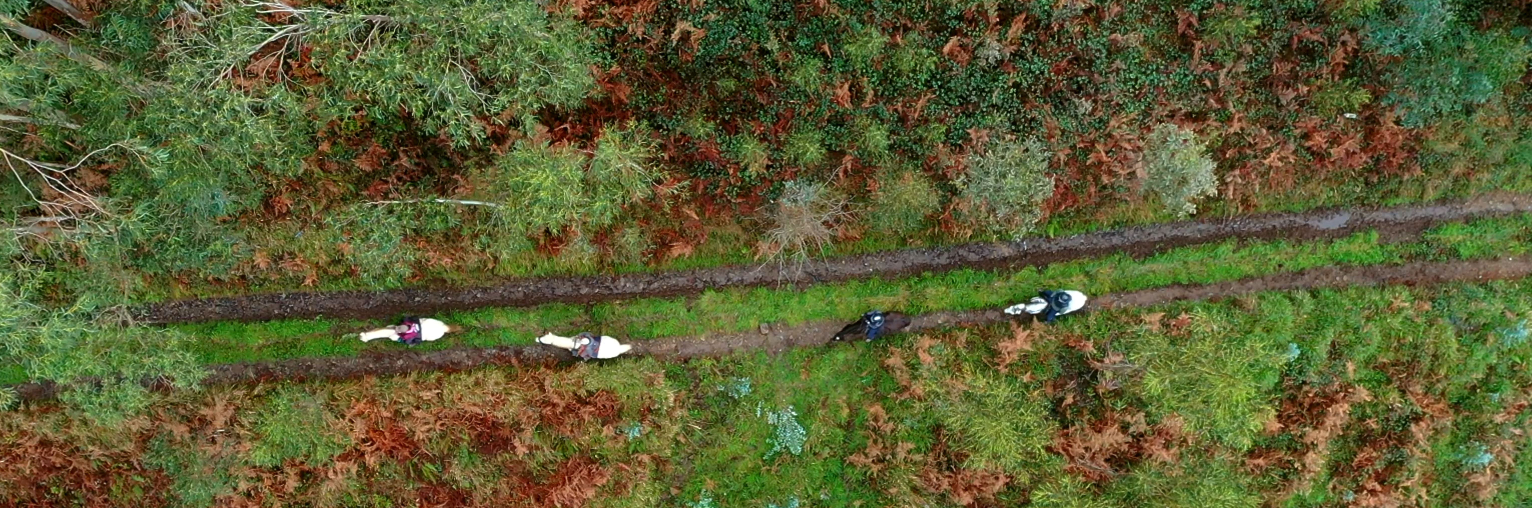Travesías a Caballo